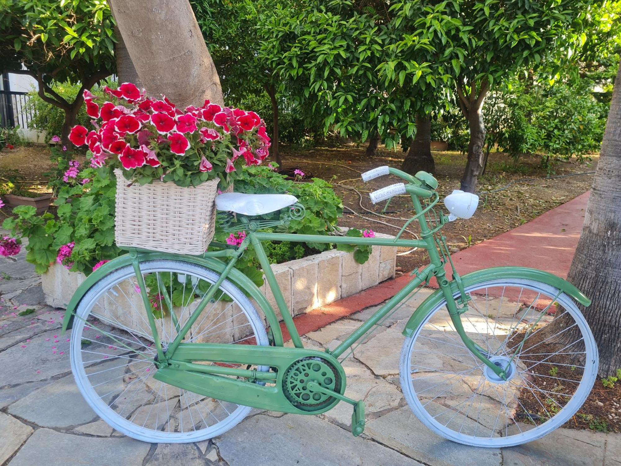 Veronica Hotel Paphos Luaran gambar